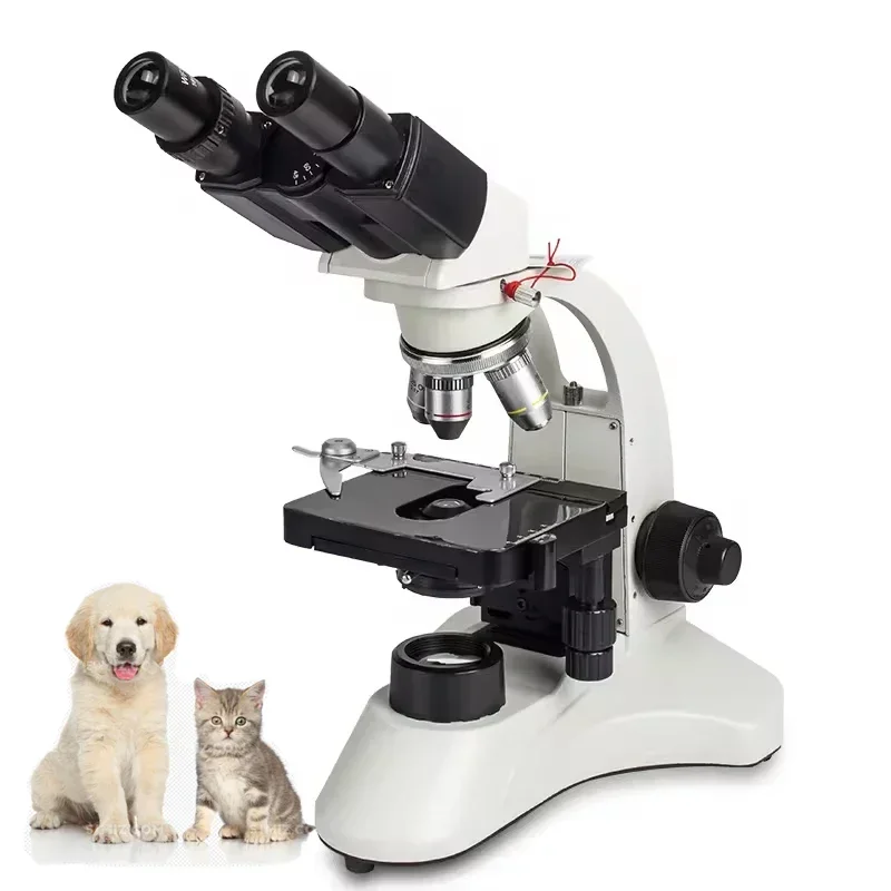 Excellent Best Seller First Ho - đánh giá và giá Medical Lab For Sale