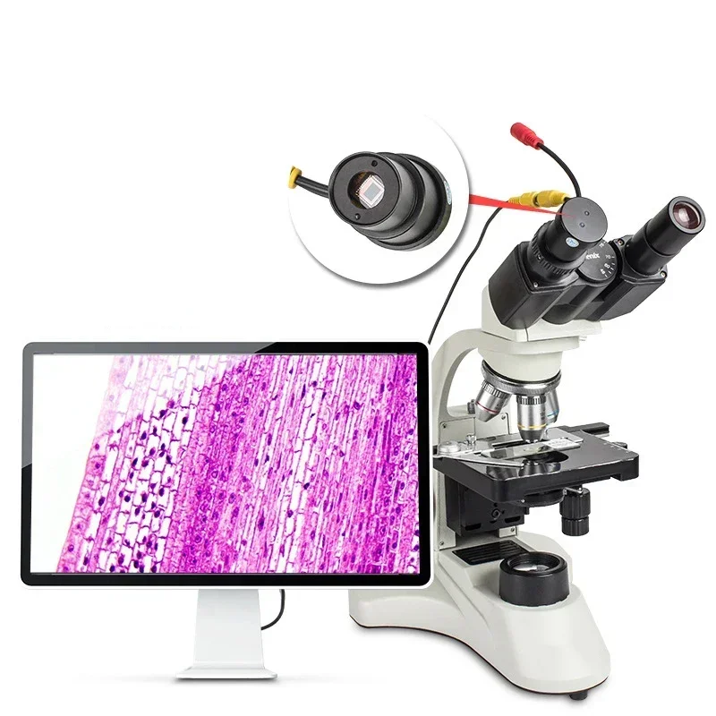 Excellent Best Seller First Ho - đánh giá và giá Medical Lab For Sale