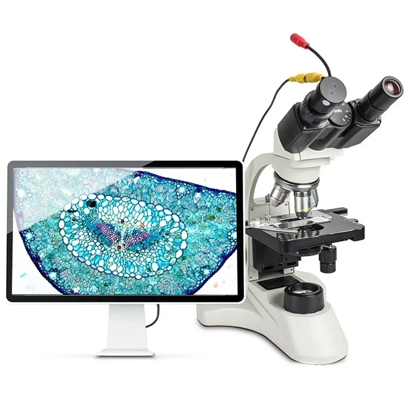 Excellent Best Seller First Ho - đánh giá và giá Medical Lab For Sale